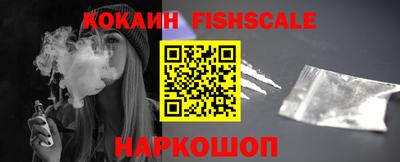 амф Сланцы