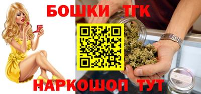 амф Сланцы