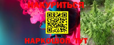 бошки Славгород